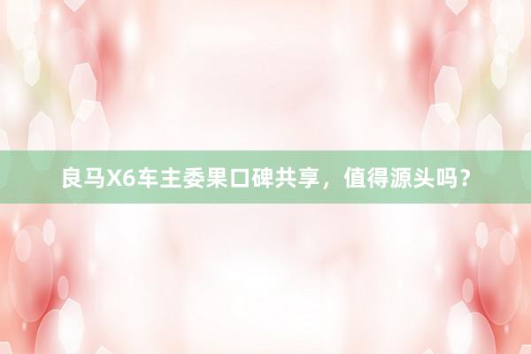 良马X6车主委果口碑共享，值得源头吗？